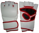 MMA Gloves